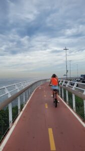 Sur le pont en direction de São Conrado